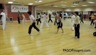 Salsa REGGAE-TONE Cha Cha Zumba Bachata Belly Dance Capoeira Flamenco
