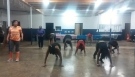 Zumba Hip Hop Fitness - Anaconda